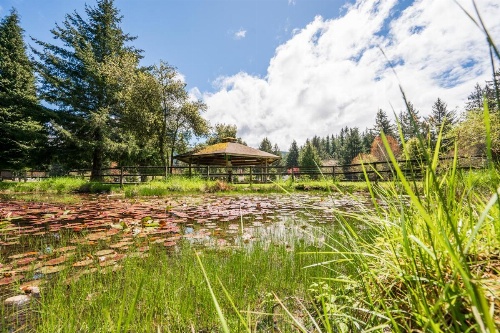 Redwood Meadows RV Resort image 9